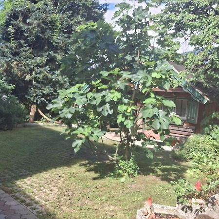 Ganzes Haus Mit Almcharakter Villa Lieserbrücke Eksteriør bilde